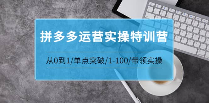 拼多多运营实操特训营：从0到1/单点突破/1-100/带领实操 价值2980元69网创吧-网创项目资源站-副业项目-创业项目-搞钱项目69网创吧