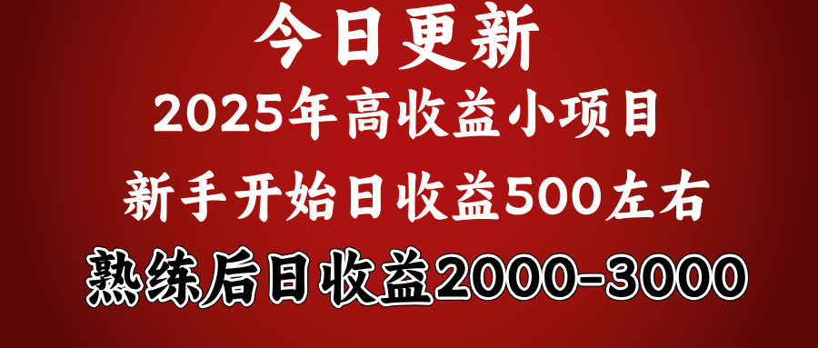好项目一眼就能看出来，日收益1000，长久可做，2025拼的就是我比你勤奋69网创吧-网创项目资源站-副业项目-创业项目-搞钱项目69网创吧