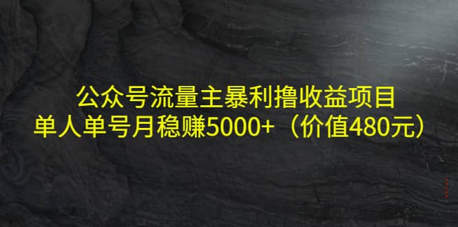 公众号流量主暴利撸收益项目，单人单号月稳赚5000+（价值480元）69网创吧-网创项目资源站-副业项目-创业项目-搞钱项目69网创吧