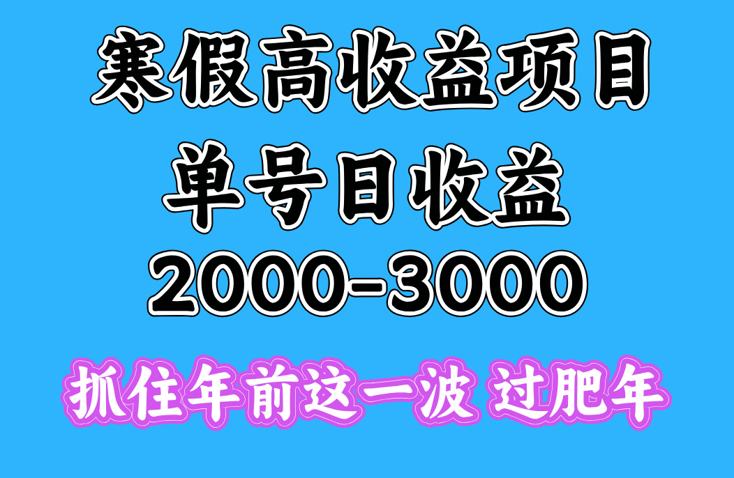 寒假期间一天收益2000-3000+，抓住年前这一波69网创吧-网创项目资源站-副业项目-创业项目-搞钱项目69网创吧