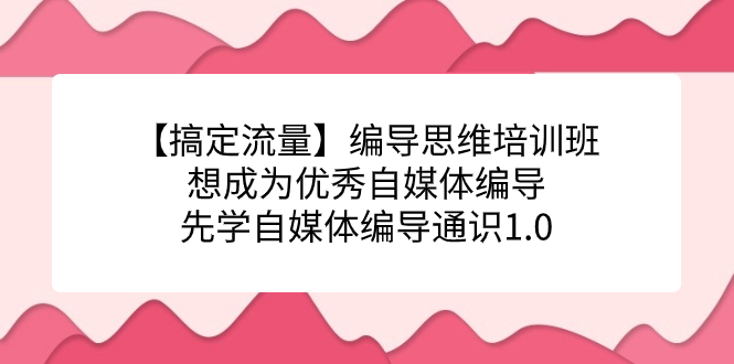 【搞定流量】编导思维培训班，想成为优秀自媒体编导先学自媒体编导通识1.069网创吧-网创项目资源站-副业项目-创业项目-搞钱项目69网创吧