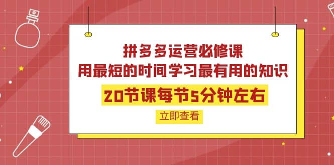 拼多多运营必修课：20节课每节5分钟左右，用最短的时间学习最有用的知识69网创吧-网创项目资源站-副业项目-创业项目-搞钱项目69网创吧