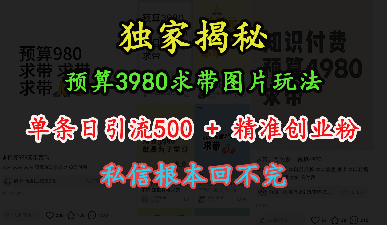 “小红书”预算3980求带 图片玩法，单条日引流500+精准创业粉，私信根本回不完69网创吧-网创项目资源站-副业项目-创业项目-搞钱项目69网创吧