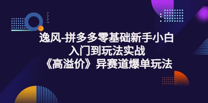 拼多多零基础新手小白入门到玩法实战《高溢价》异赛道爆单玩法实操课69网创吧-网创项目资源站-副业项目-创业项目-搞钱项目69网创吧