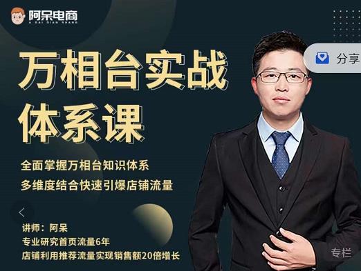 阿呆-万相台实战体系课，帮您全面掌握万相台知识体系69网创吧-网创项目资源站-副业项目-创业项目-搞钱项目69网创吧