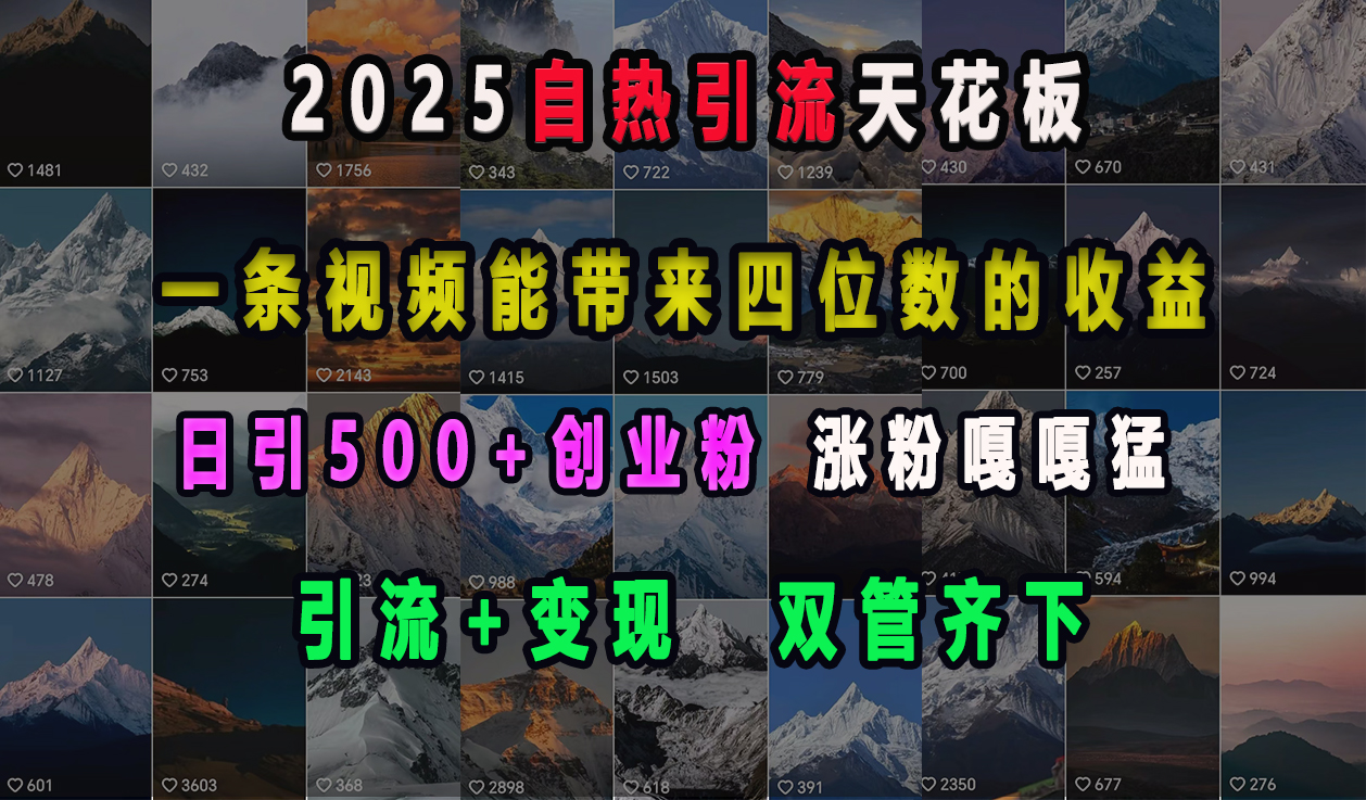 2025自热引流天花板，一条视频能带来四位数的收益，引流+变现双管齐下，日引500+创业粉，涨粉嘎嘎猛69网创吧-网创项目资源站-副业项目-创业项目-搞钱项目69网创吧