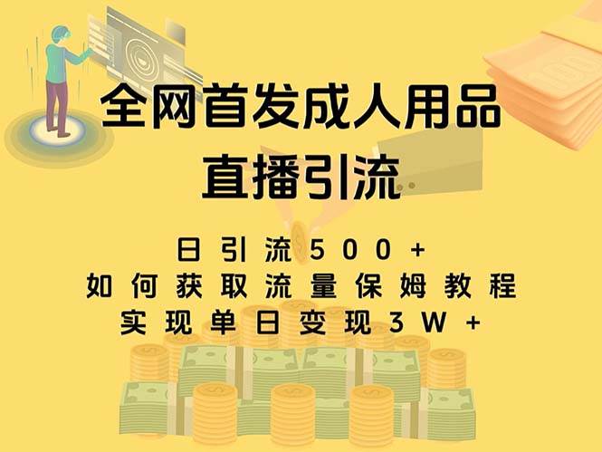 最新全网独创首发，成人用品直播引流获客暴力玩法，单日变现3w保姆级教程69网创吧-网创项目资源站-副业项目-创业项目-搞钱项目69网创吧