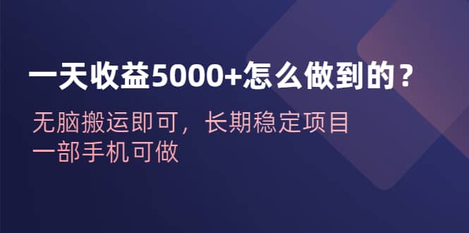 一天收益5000+怎么做到的？无脑搬运即可，长期稳定项目，一部手机可做69网创吧-网创项目资源站-副业项目-创业项目-搞钱项目69网创吧
