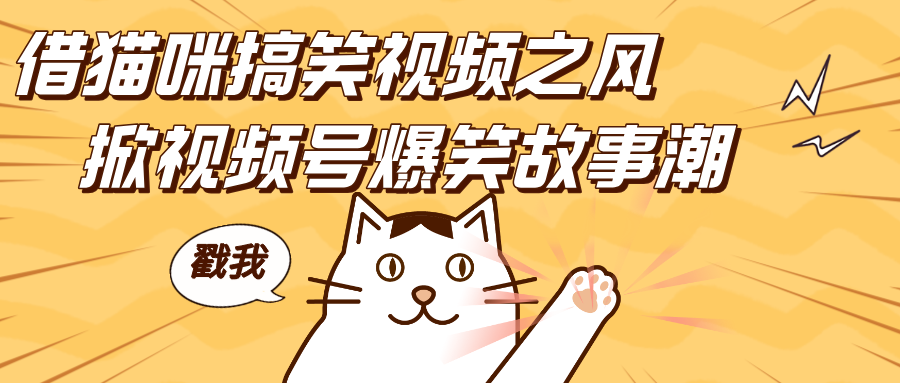 借猫咪搞笑视频之风，掀视频号爆笑故事潮，轻松日赚四位数，开启无门槛赚钱新体验！69网创吧-网创项目资源站-副业项目-创业项目-搞钱项目69网创吧