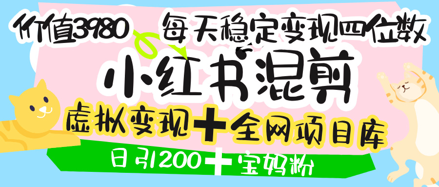 价值3980的小红书混剪， 虚拟变现 ＋全网项目库 ， 日引200+宝妈创业粉，每天稳定四位数变现69网创吧-网创项目资源站-副业项目-创业项目-搞钱项目69网创吧