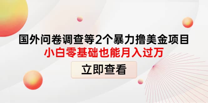国外问卷调查等2个暴力撸美元项目，小白零基础也能月入过万69网创吧-网创项目资源站-副业项目-创业项目-搞钱项目69网创吧