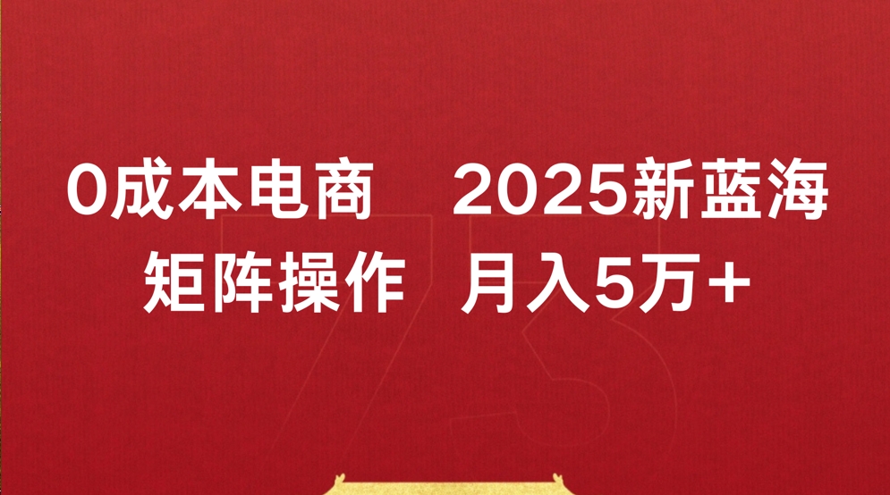 0成本电商2025新蓝海矩阵操作 月入5万+69网创吧-网创项目资源站-副业项目-创业项目-搞钱项目69网创吧