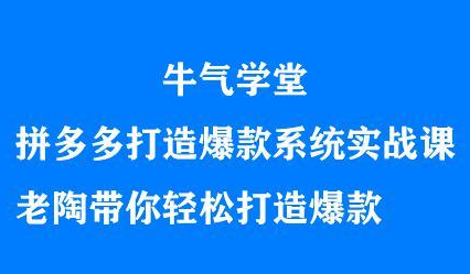 牛气学堂拼多多打造爆款系统实战课，老陶带你轻松打造爆款69网创吧-网创项目资源站-副业项目-创业项目-搞钱项目69网创吧