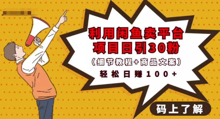 利用闲鱼卖平台项目课程资源日引流30+精准粉丝，轻松日赚100+，积累人脉可实现二次变现（细节教程+商品文案）69网创吧-网创项目资源站-副业项目-创业项目-搞钱项目69网创吧