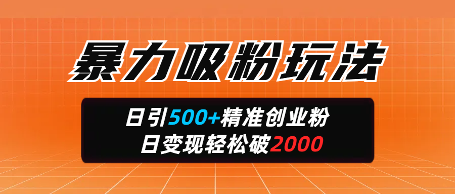 暴力吸粉玩法，日引500+精准创业粉，日变现轻松破200069网创吧-网创项目资源站-副业项目-创业项目-搞钱项目69网创吧