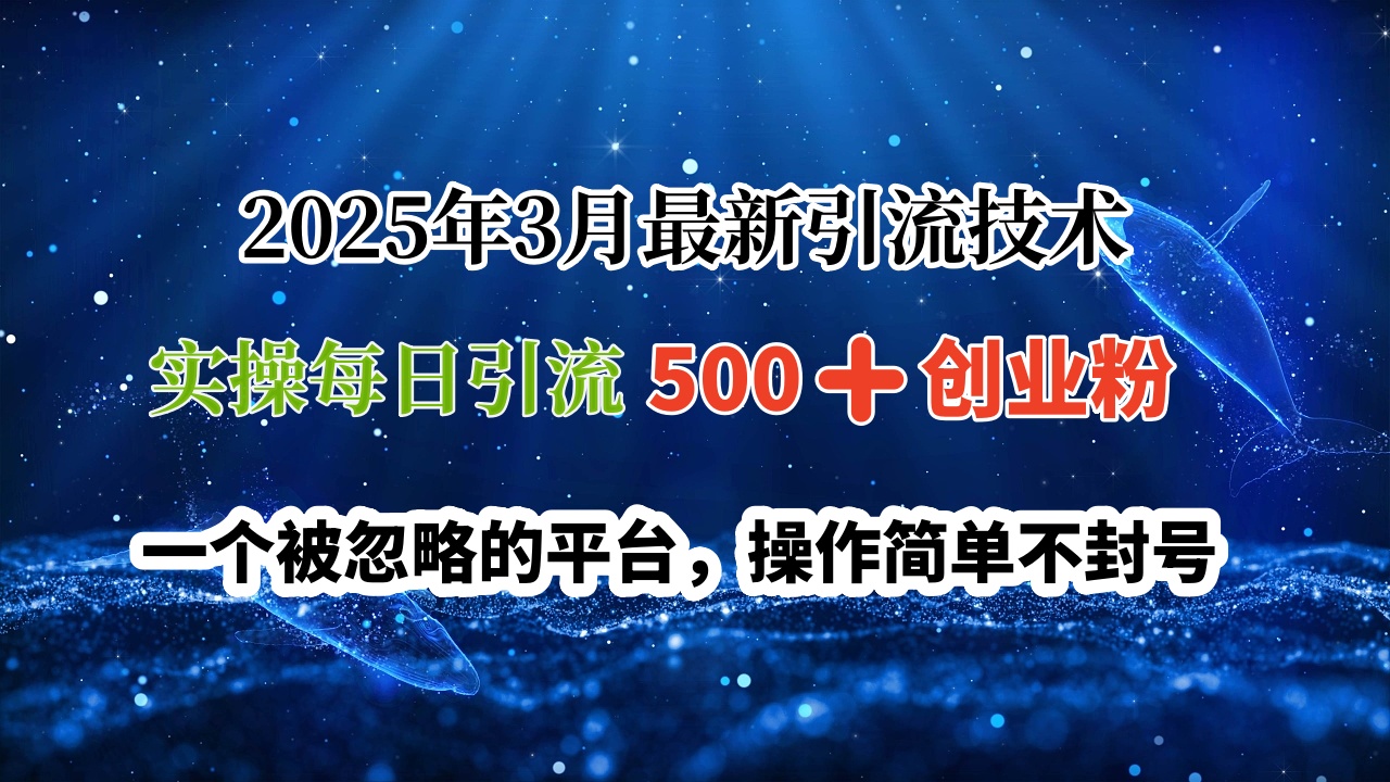 2025年3月最新引流技术，实操每日引流500➕创业粉，一个被忽略的平台，操作简单不封号69网创吧-网创项目资源站-副业项目-创业项目-搞钱项目69网创吧