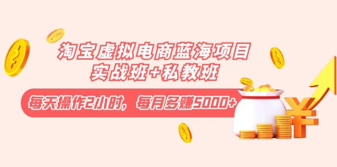 淘宝虚拟电商蓝海项目实战班+私教班69网创吧-网创项目资源站-副业项目-创业项目-搞钱项目69网创吧