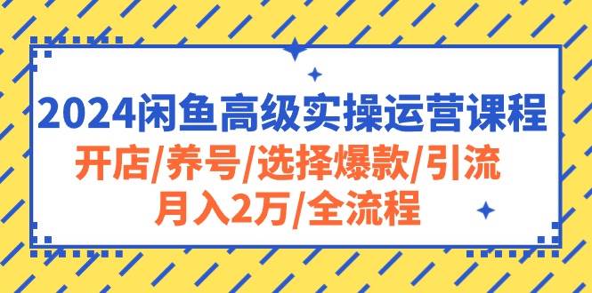 2024闲鱼高级实操运营课程：开店/养号/选择爆款/引流/月入2万/全流程69网创吧-网创项目资源站-副业项目-创业项目-搞钱项目69网创吧