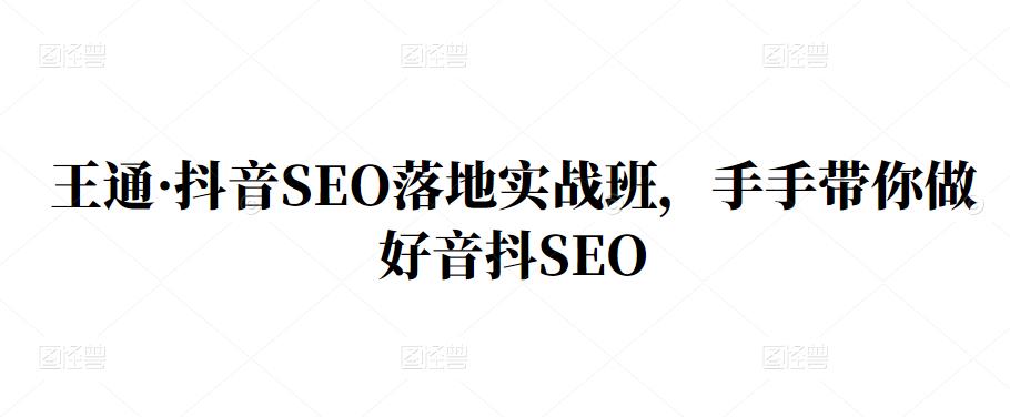 王通·抖音SEO落地实战班,手手带你做好音抖SEO