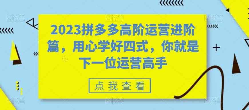 2023拼多多高阶运营进阶篇，用心学好四式，你就是下一位运营高手69网创吧-网创项目资源站-副业项目-创业项目-搞钱项目69网创吧