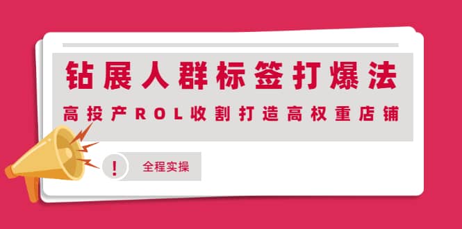 钻展人群标签打爆法，高投产ROL收割打造高权重店铺(全程实操)69网创吧-网创项目资源站-副业项目-创业项目-搞钱项目69网创吧