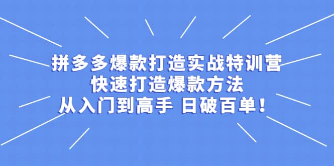 拼多多爆款打造实战特训营：快速打造爆款方法，从入门到高手 日破百单69网创吧-网创项目资源站-副业项目-创业项目-搞钱项目69网创吧