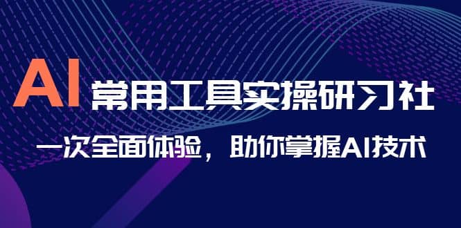 AI-常用工具实操研习社，一次全面体验，助你掌握AI技术69网创吧-网创项目资源站-副业项目-创业项目-搞钱项目69网创吧