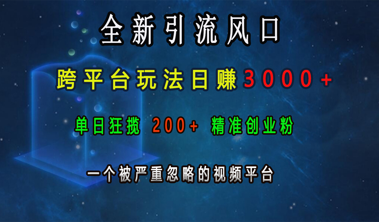 全新引流风口，跨平台玩法日赚3000+，单日狂揽200+精准创业粉，一个被严重忽略的视频平台69网创吧-网创项目资源站-副业项目-创业项目-搞钱项目69网创吧