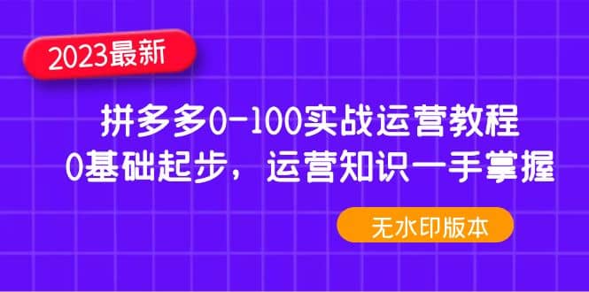 2023拼多多0-100实战运营教程，0基础起步，运营知识一手掌握（无水印）69网创吧-网创项目资源站-副业项目-创业项目-搞钱项目69网创吧