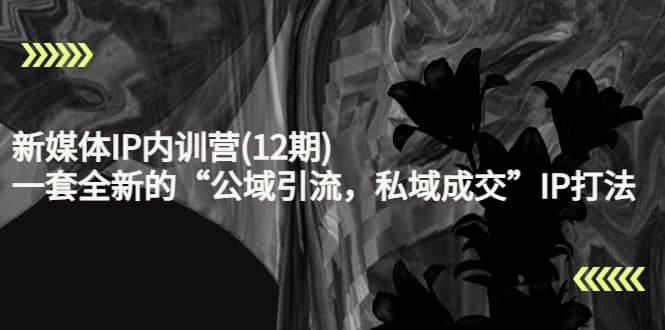 新媒体IP内训营(12期)，一套全新的“公域引流，私域成交”IP打法，直接带走69网创吧-网创项目资源站-副业项目-创业项目-搞钱项目69网创吧