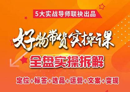 抖音好物带货实操课，全盘拆解抖音好物带货号全套流程打法69网创吧-网创项目资源站-副业项目-创业项目-搞钱项目69网创吧
