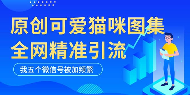 黑科技纯原创可爱猫咪图片，全网精准引流，实操5个VX号被加频繁69网创吧-网创项目资源站-副业项目-创业项目-搞钱项目69网创吧