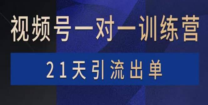 视频号训练营：带货，涨粉，直播，游戏，四大变现新方向，21天引流出单69网创吧-网创项目资源站-副业项目-创业项目-搞钱项目69网创吧