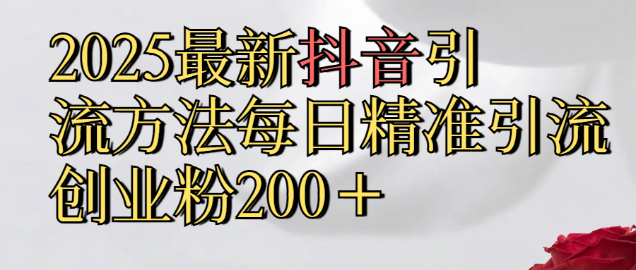 2025最新,抖音引流,方法每日精准引流创业粉300＋69网创吧-网创项目资源站-副业项目-创业项目-搞钱项目69网创吧