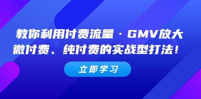 教你利用付费流量·GMV放大，微付费、纯付费的实战型打法69网创吧-网创项目资源站-副业项目-创业项目-搞钱项目69网创吧