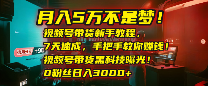 月入5万不是梦！视频号带货新手教程，7天速成，手把手教你赚钱！视频号带货黑科技曝光！0粉丝日入3000+69网创吧-网创项目资源站-副业项目-创业项目-搞钱项目69网创吧