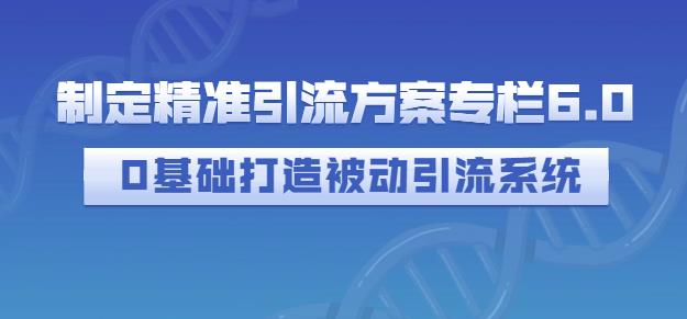 制定精准引流方案专栏6.0，0基础打造被动引流系统69网创吧-网创项目资源站-副业项目-创业项目-搞钱项目69网创吧