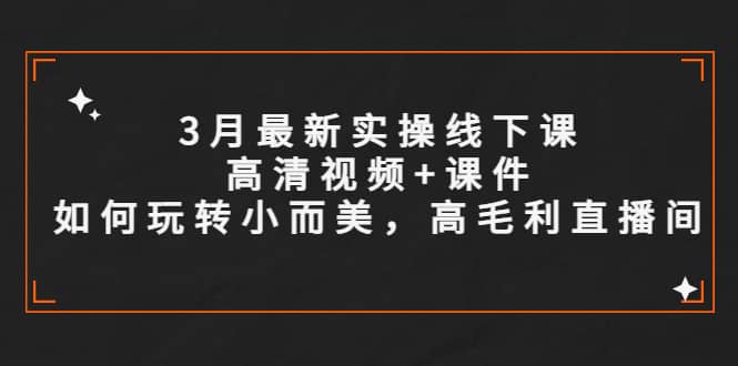 3月最新实操线下课高清视频+课件，如何玩转小而美，高毛利直播间69网创吧-网创项目资源站-副业项目-创业项目-搞钱项目69网创吧