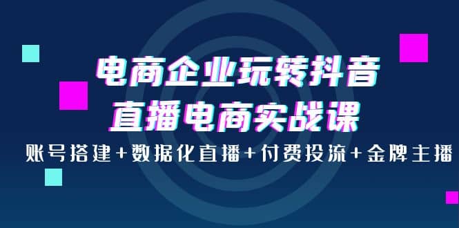 电商企业玩转抖音直播电商实战课：账号搭建+数据化直播+付费投流+金牌主播69网创吧-网创项目资源站-副业项目-创业项目-搞钱项目69网创吧