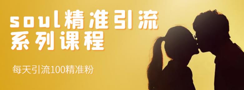 soul精准引流系列课程，每天引流100精准粉69网创吧-网创项目资源站-副业项目-创业项目-搞钱项目69网创吧