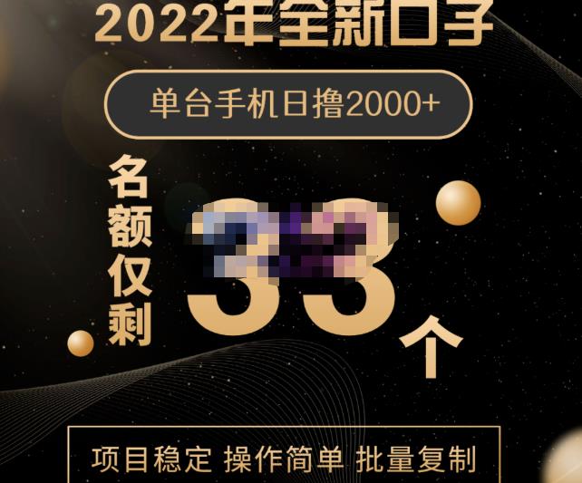 2022年全新口子，手机批量搬砖玩法，一部手机日撸2000+69网创吧-网创项目资源站-副业项目-创业项目-搞钱项目69网创吧