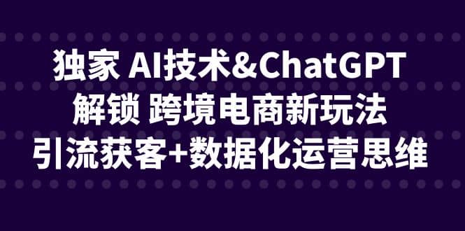 独家 AI技术ChatGPT解锁 跨境电商新玩法,引流获客+数据化运营思维69网创吧-网创项目资源站-副业项目-创业项目-搞钱项目69网创吧