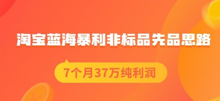 盗坤淘宝蓝海暴利非标品先品思路，7个月37万纯利润，压箱干货分享！【付费文章】69网创吧-网创项目资源站-副业项目-创业项目-搞钱项目69网创吧