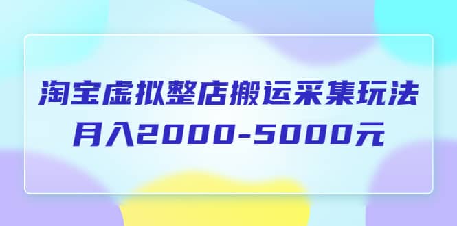 淘宝虚拟整店搬运采集玩法分享课：月入2000-5000元（5节课）69网创吧-网创项目资源站-副业项目-创业项目-搞钱项目69网创吧