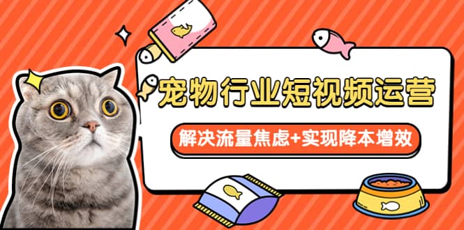 宠物/行业短视频运营 流量增长的一层窗户纸 解决流量焦虑+实现降本增效69网创吧-网创项目资源站-副业项目-创业项目-搞钱项目69网创吧