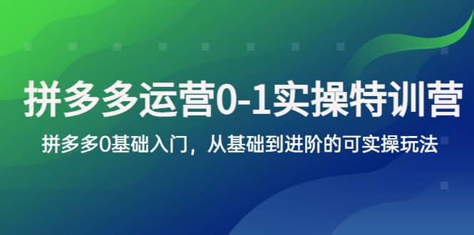 拼多多-运营0-1实操训练营，拼多多0基础入门，从基础到进阶的可实操玩法69网创吧-网创项目资源站-副业项目-创业项目-搞钱项目69网创吧