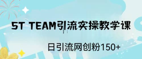ST TEAM引流实操课，日引流网创粉100+69网创吧-网创项目资源站-副业项目-创业项目-搞钱项目69网创吧