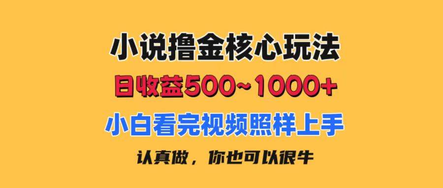 小说撸金核心玩法，日收益500-1000+，小白看完照样上手，0成本有手就行69网创吧-网创项目资源站-副业项目-创业项目-搞钱项目69网创吧