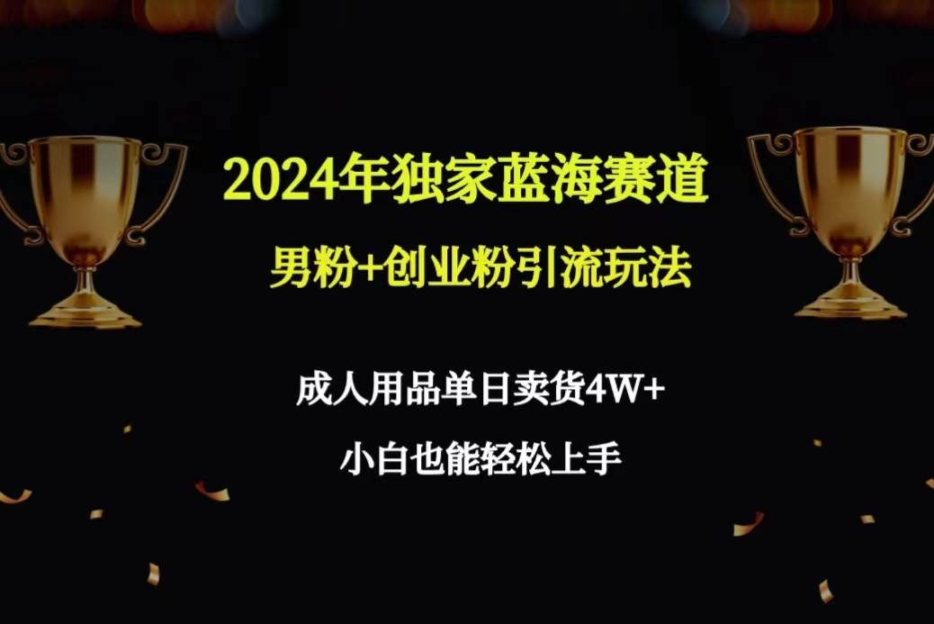 2024年独家蓝海赛道男粉+创业粉引流玩法，成人用品单日卖货4W+保姆教程69网创吧-网创项目资源站-副业项目-创业项目-搞钱项目69网创吧