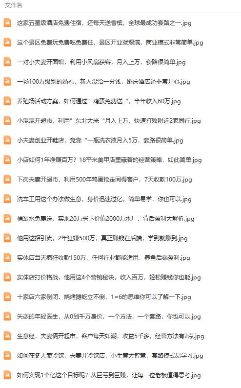 真实有效391套商业模式，年入几十到几百万案例解析（电子书+视频+图文）69网创吧-网创项目资源站-副业项目-创业项目-搞钱项目69网创吧